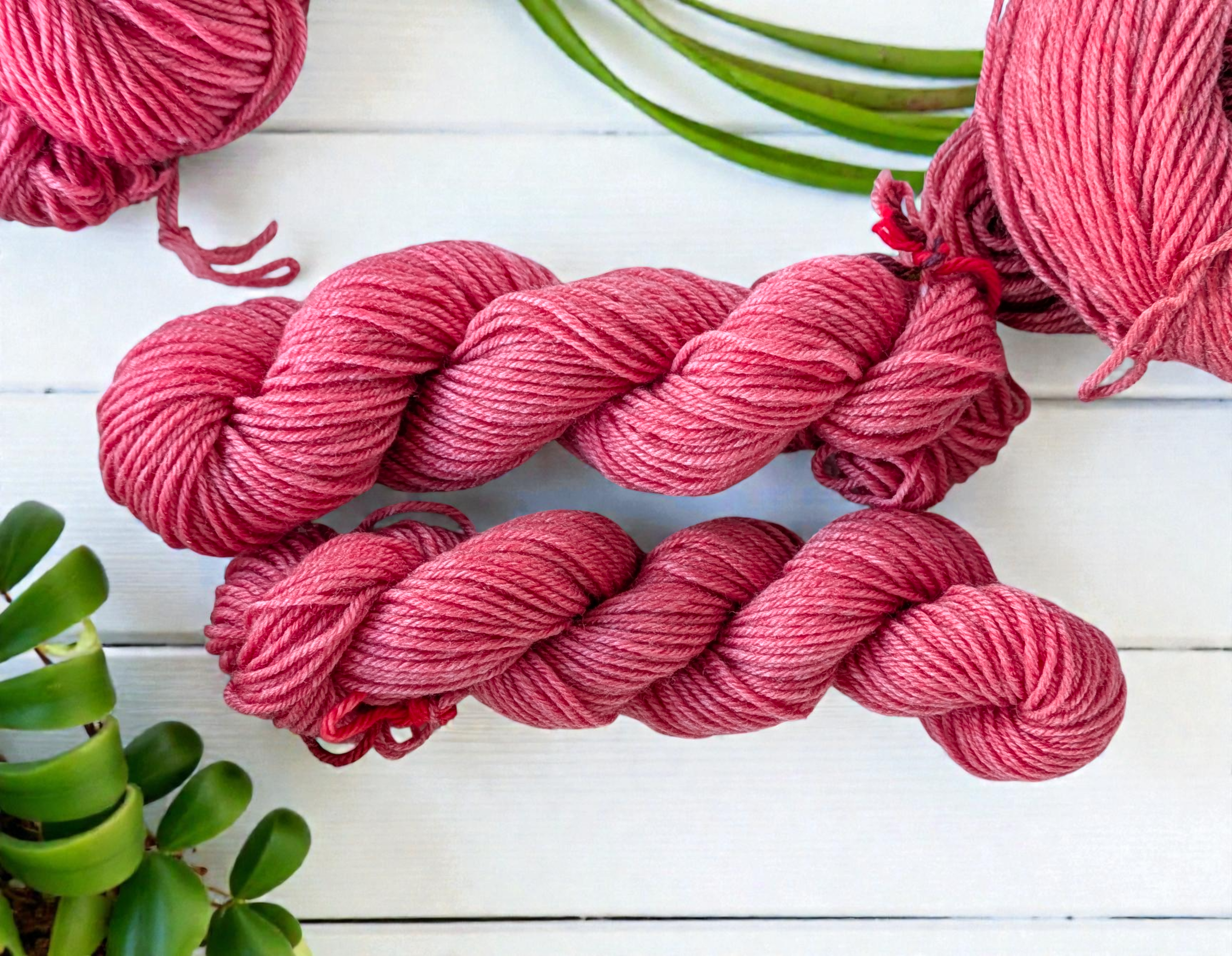 Birdsong Mini - Cherry Slush - Hand-dyed Yarn